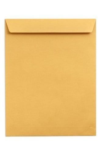 Envelope big