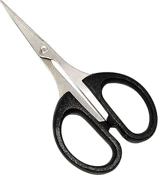 Scissors small